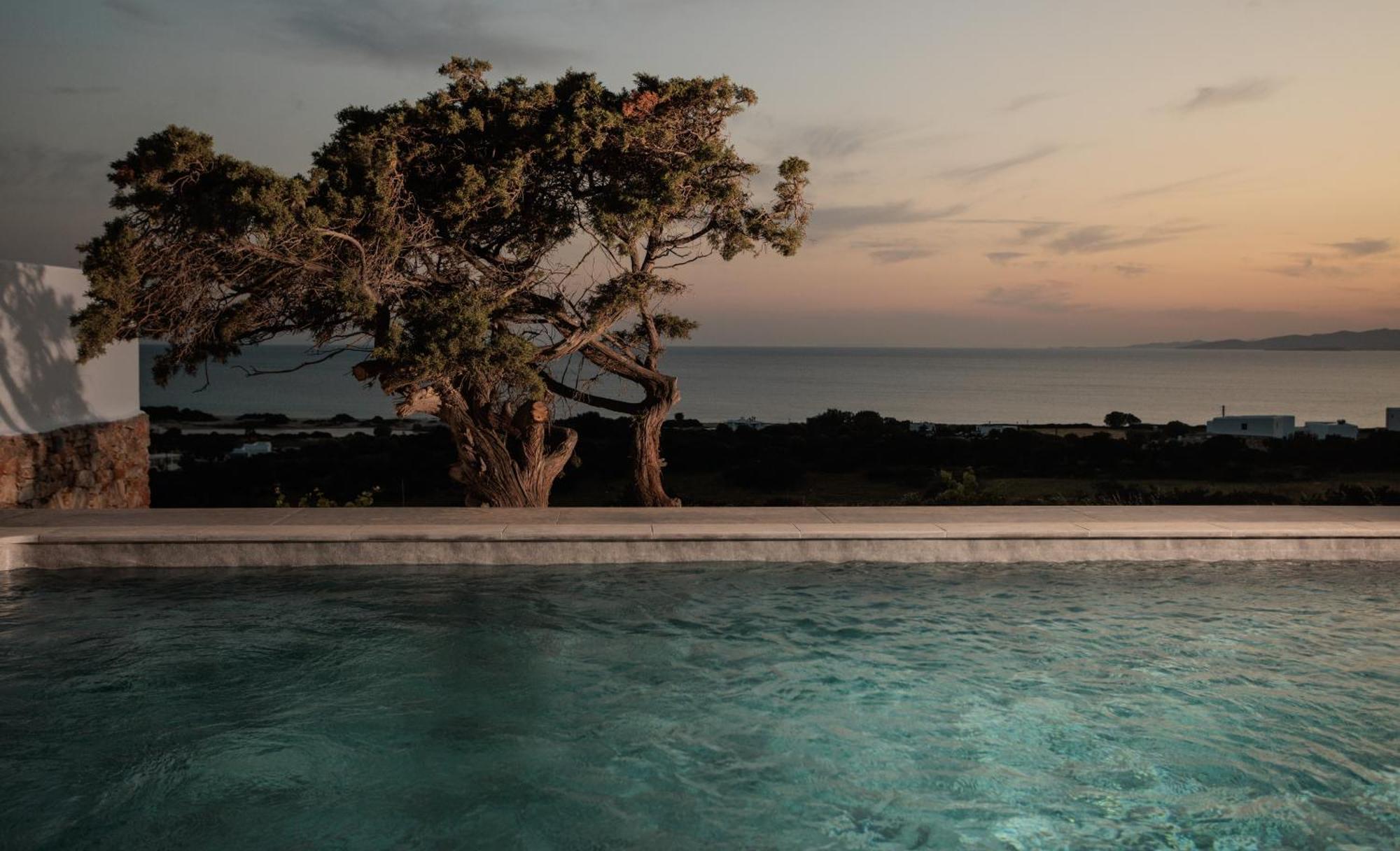 Phoenicia Naxos *